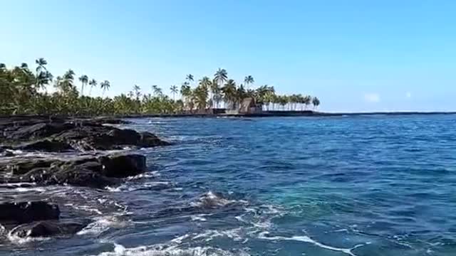 oceanlover#swim#reef#lovemyplanet