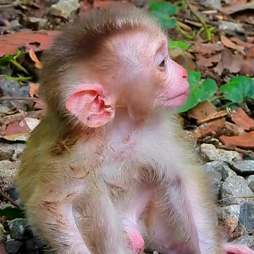 Sit and look at your mother