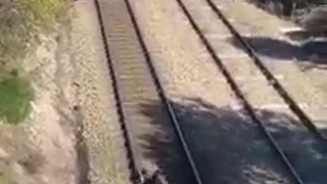 Man saves dog's life on a railway track....