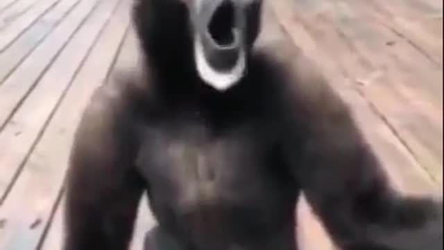 Funny video in emeging
