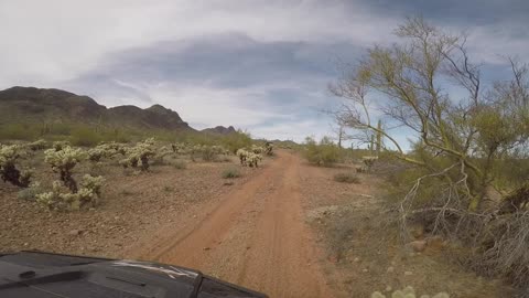 Pretty Desert 🌵 Ride