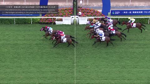 Horse_Race_2022052205_Chinese