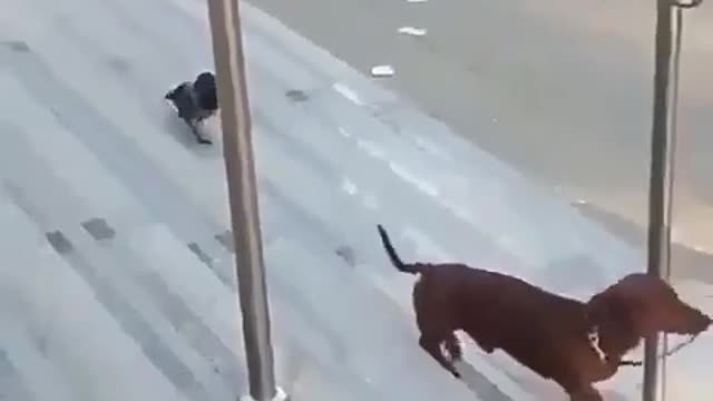 Hi, get away from me