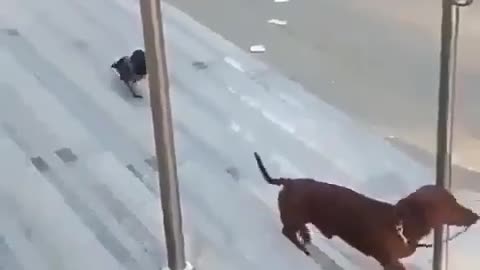 Hi, get away from me