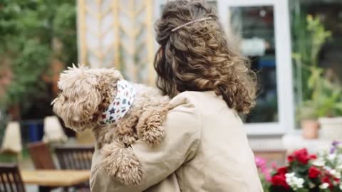 Small Loving Dog Feeling Protected