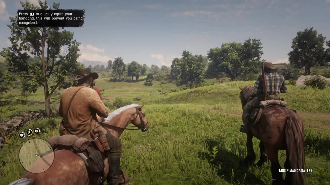 RDR2 Walkthrough, an honest mistake mission