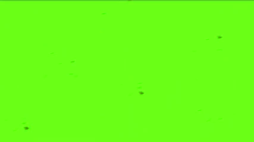 Green screen effects video copyright free [NCVHD]