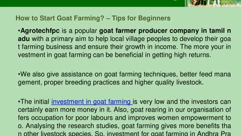 Investment in goat farming - Top tips for goat rearing