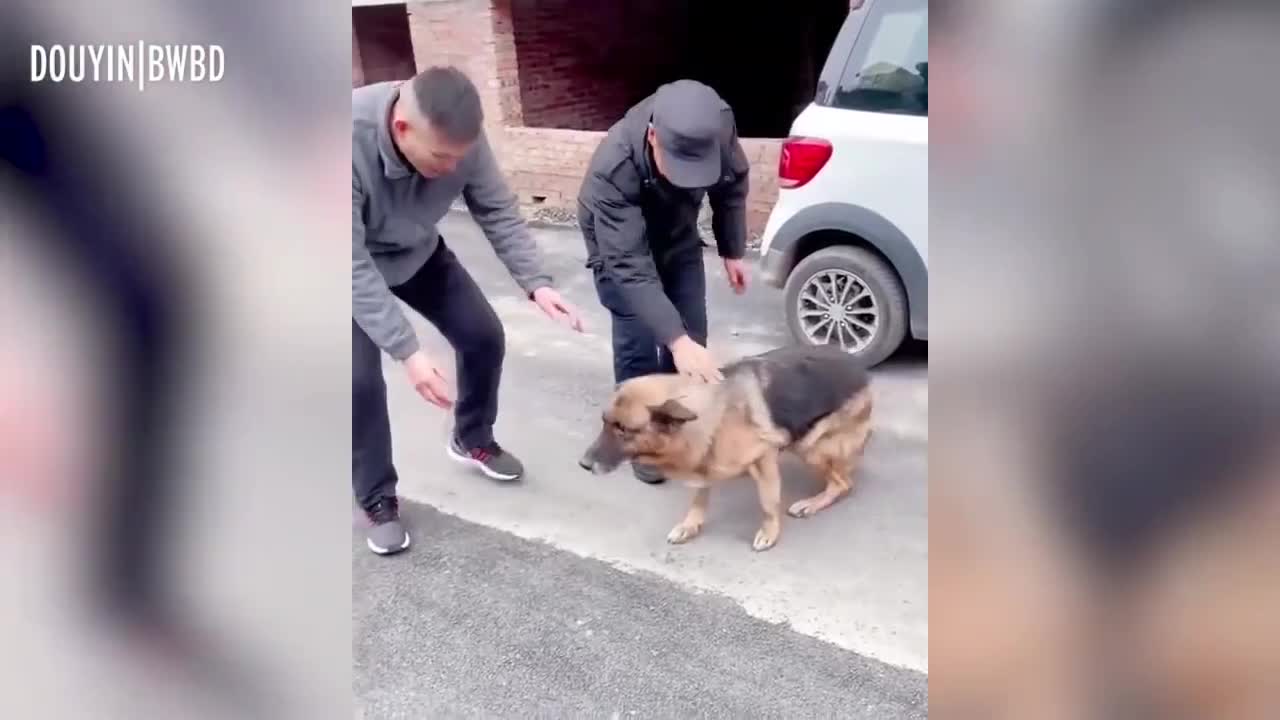 🤯Amazing😲--🐕Former Police Dog 'Cries' After Reuniting With Handler She Hasn't Seen For Years