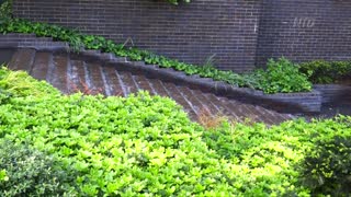 Hidden Waterfalls in New York City