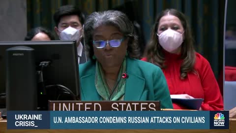 U.N. Ambassador On Ukraine_ Too Dangerous To Retrieve Dead Bodies In Streets