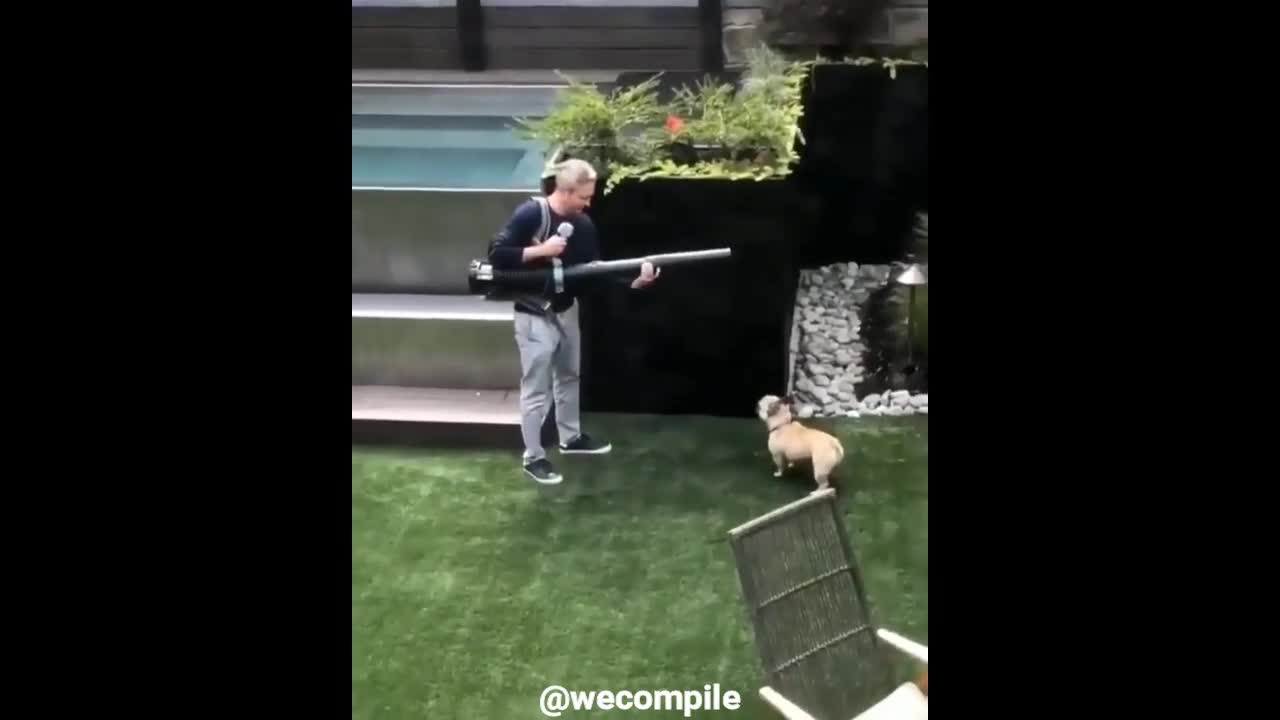 SUPER HARD laugh CHALLENGE with Funniest Animals 2021