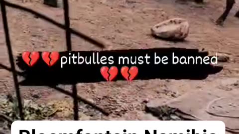 TRAGEDY STRIKES IN BLOEMFONTEIN AS WOMAN KILLED BY PITBULLS part 1