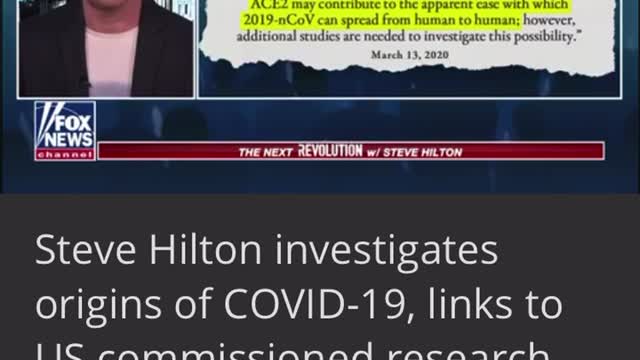 Steve Hilton - Fauci - Corona Virus