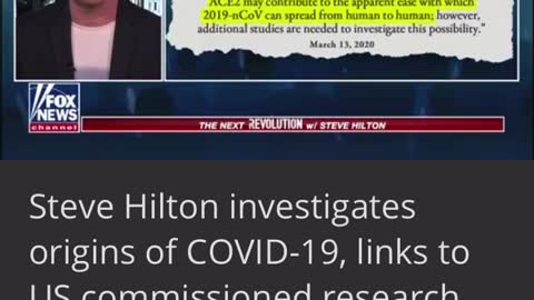 Steve Hilton - Fauci - Corona Virus