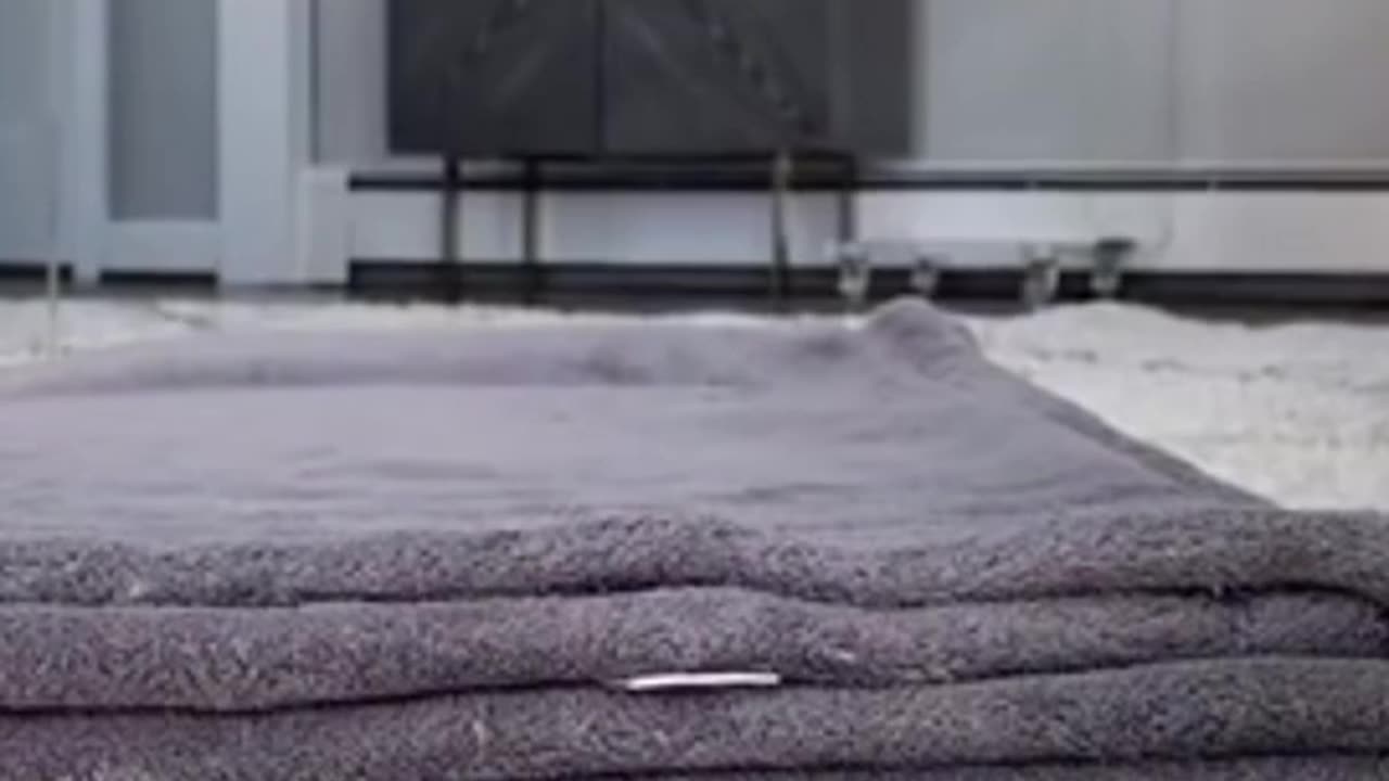 ππAll cat goes to heaven funny cats video ππππ
