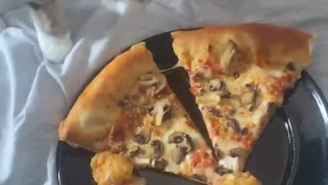 A Cat Trying to Bury Pizza.