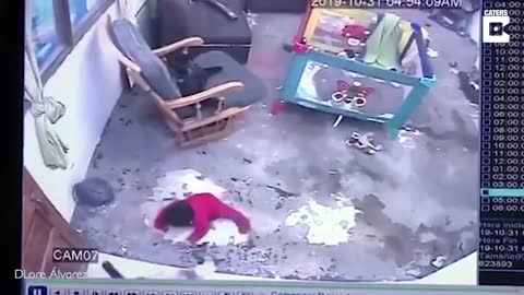 cat save toddler