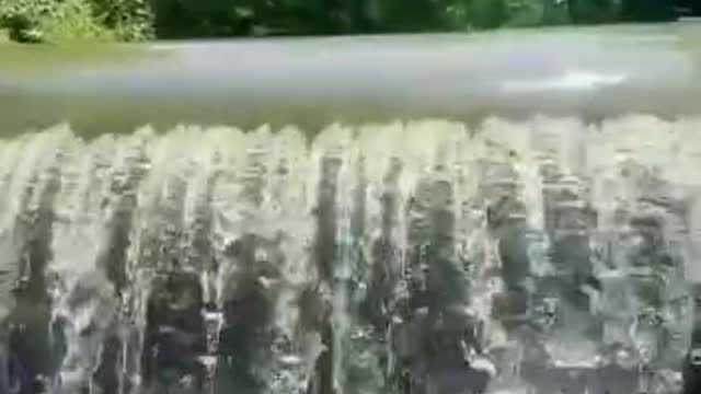Power to move water