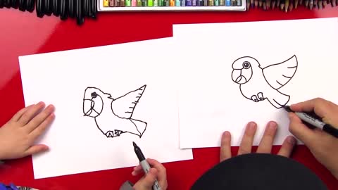 HowToDrawACartoonParrotp11