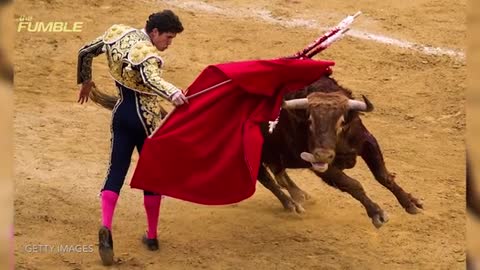 Mexican Bullfighter Takes it UP THE A**