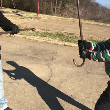 Irish stick punch crook cane!