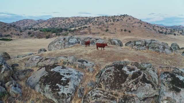 Drone Footage of a Scenic Landscape at Sequoia National Park