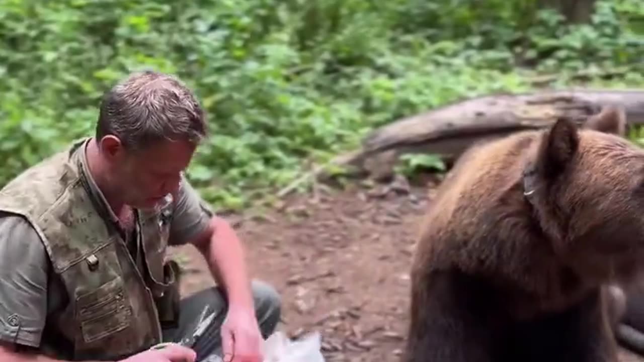 RUSSIAN MAN FEED GRIZZLY BEAR SALMON FROM A SHOP