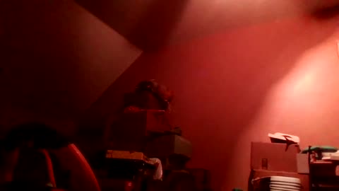 [Cyraxx Youtube 2021-1-16] a better Life Live Cover show