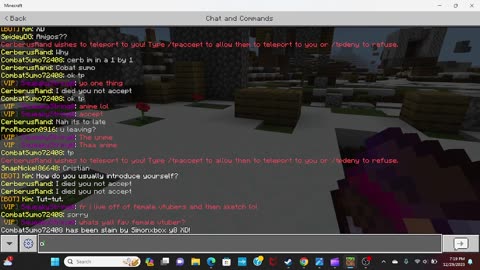 minecraft chat