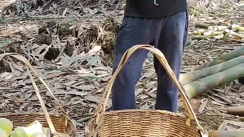 Bạn biết cách chặt măng này chưa