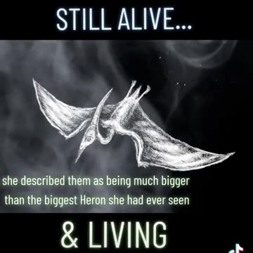 ARE PTEROSAURS STILL ALIVE?
