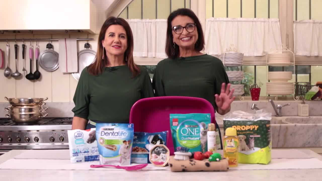 Cosa serve in casa se hai un animale domestico
