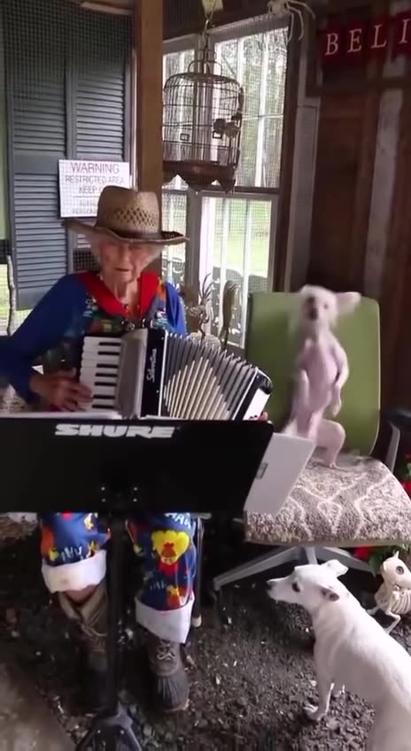 Old Lady rocks it out with her Funny Dog!!