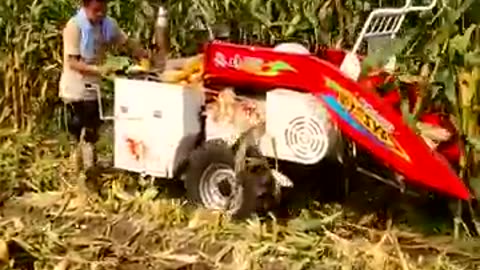 models Agricultural Technician Corn Harvester #