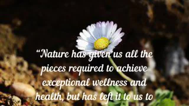 “Nature has given us all the pieces required to achieve exceptional wellness and health