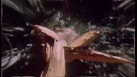 roses - outkast mashup timber - coldcut & hexstatic fanedit