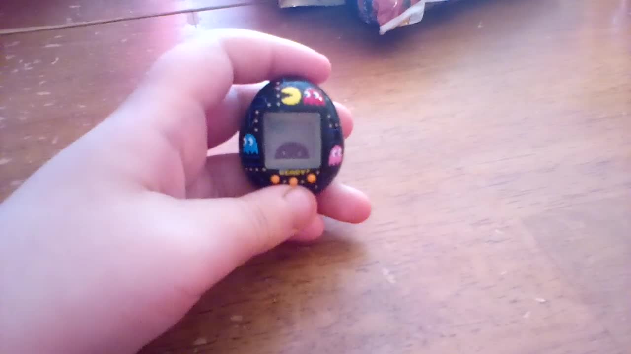Pac-man Tamagotchi - How to Reset Clock to "Pause" your Pet
