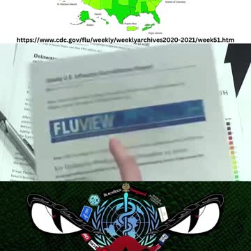 [CLIP] Covid Cured The Flu! - "Fluvid 19"