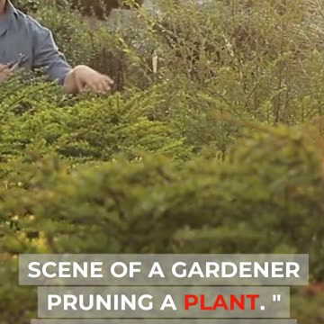 Pruning for Profit Optimizing Your Investment Portfolio