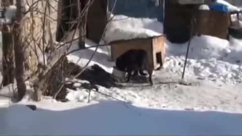 When you are on a diet and your hand reaches for the pan