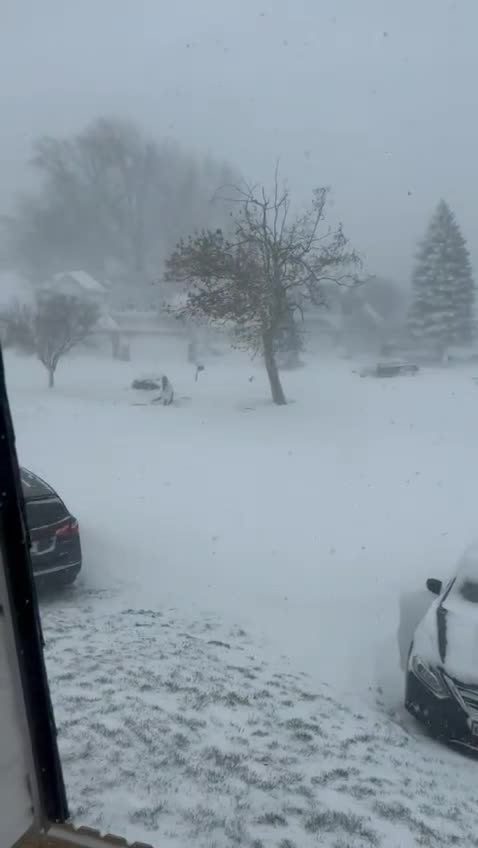 Surriscaldamento delle palle 🤔rotanti