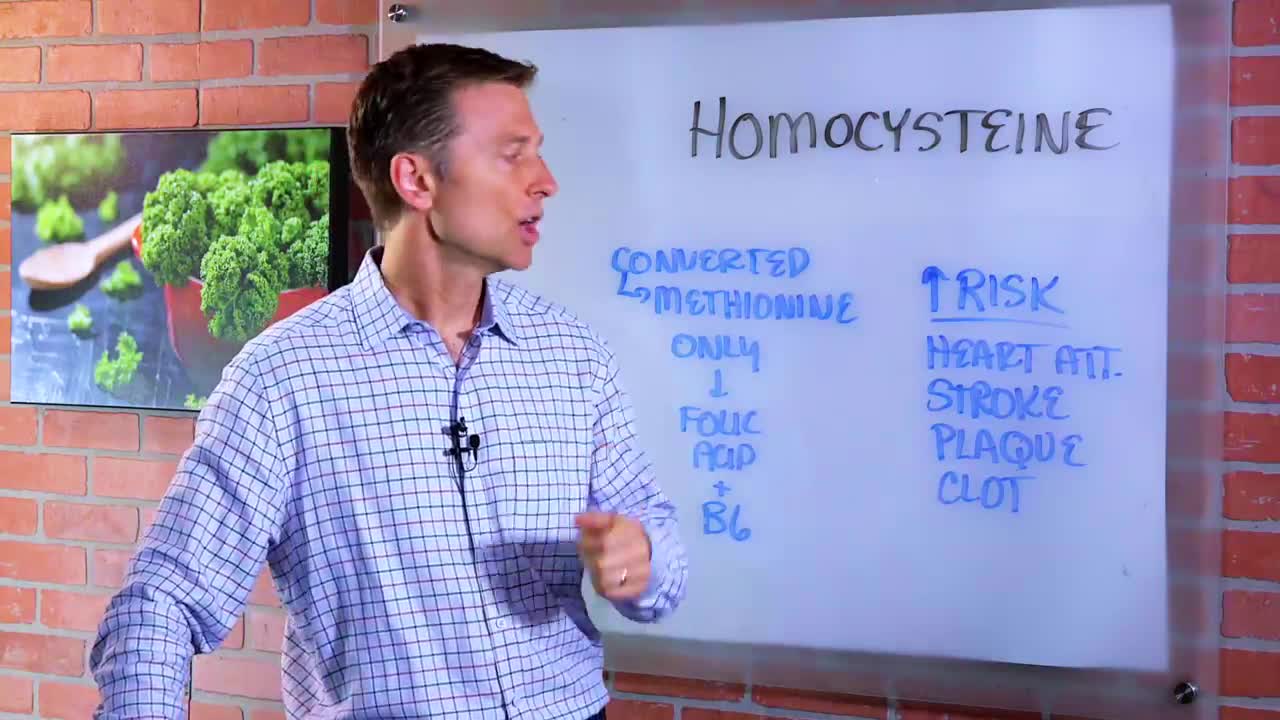 DrBerg-What Is Homocysteine?