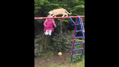 New funny animal🤣 funniest cats and dogs videos😺