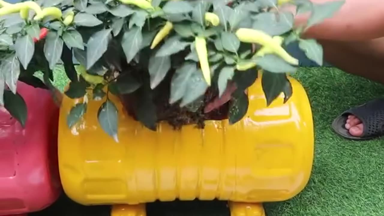 "From Trash to Treasure: Creating Compact Gardens with Plastic Bottles 🌺🌿 "