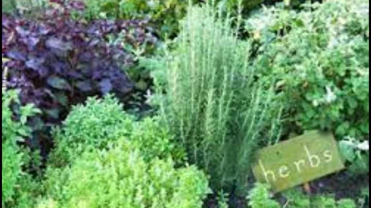 Herb Gardening