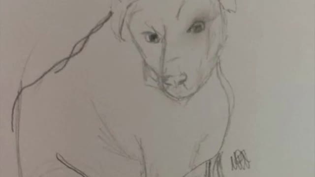 Mostrar todo el mundo perro autorretrato