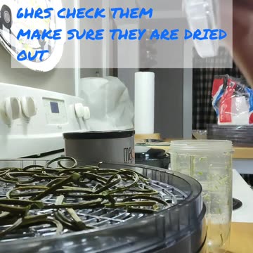 DEHYDRATING GARLIC SCAPES