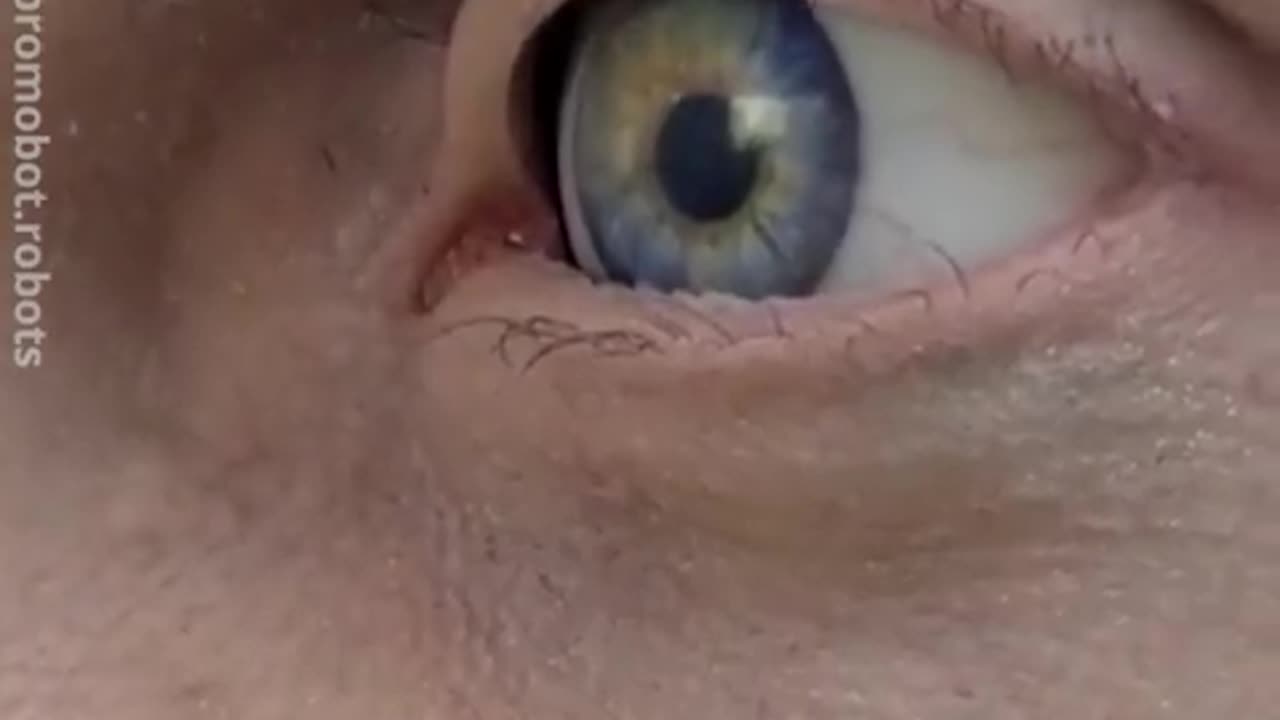 This is the most realistic robot in the world!!!!