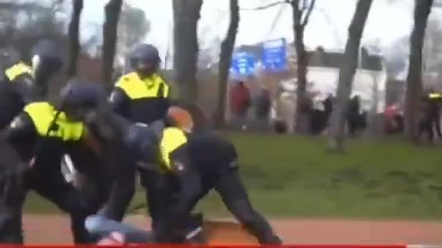 Dutch K9's Not On Board With The Tyranny